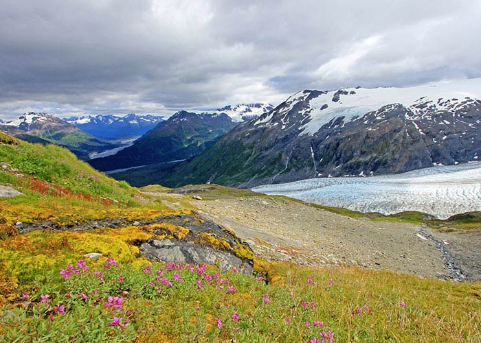 Glacier-carved fjords and alpine terrain at Kenai Fjords National Park viewed during an Alaska cruise excursion