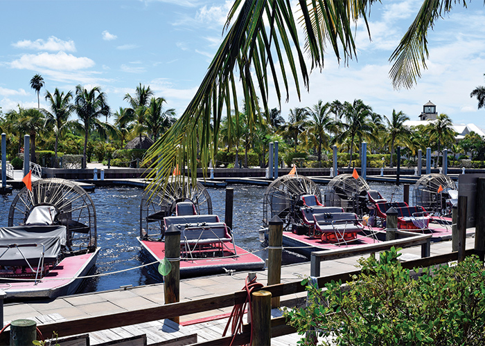 Airboats docked in Jacksonville, FL, surrounded by palm trees under a clear sky.