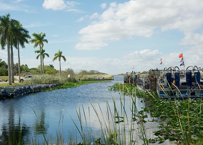 Subtropical waterways and wetlands at Everglades National Park experienced on a guided cruise excursion