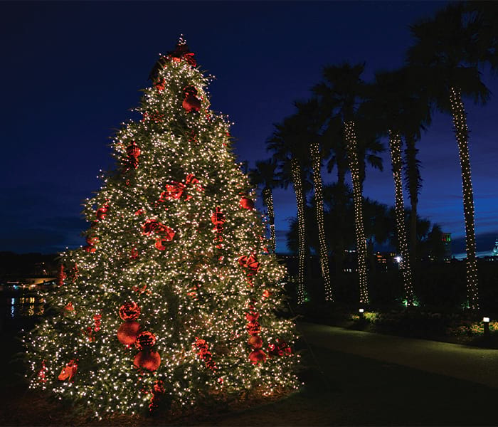 A lit Christmas tree with red ornaments near palm trees at night.