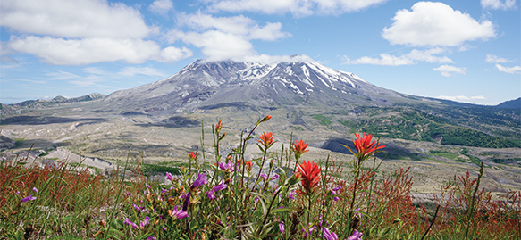 Free Airfare & Savings up to $1,200 Explore our Columbia & Snake River Cruises