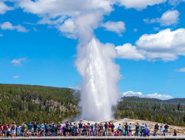 Old Faithful erupting out from the ground into the sky in Yellowstone National Park with large group of tourists in the foreground watching the eruption.