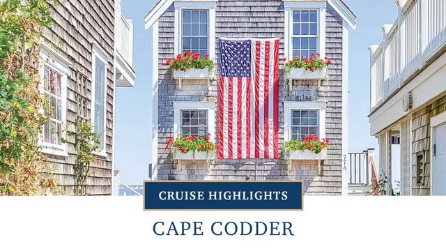 Cape Codder
