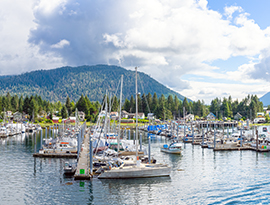 Alaska marina with sailboats surrounded by forested hills
