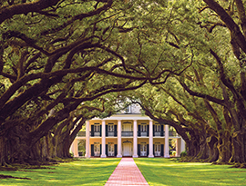 Southern plantation mansion with oak tree canopy, popular American Cruise Lines river cruise excursion.