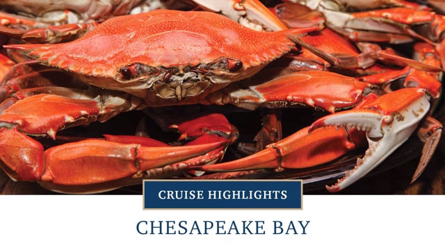 Chesapeake Bay