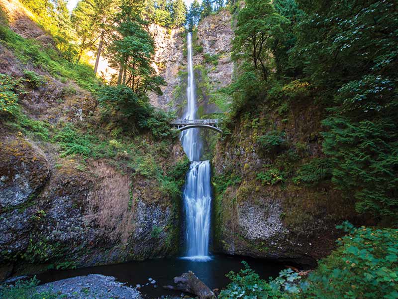 Waterfall with bridge surrounded by lush forest, popular American Cruise Lines river cruise excursion site.